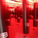 BoxUnion | Robertson